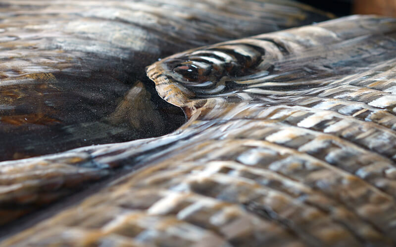 Metalen Schilderij 3D Olifant Gave Specials