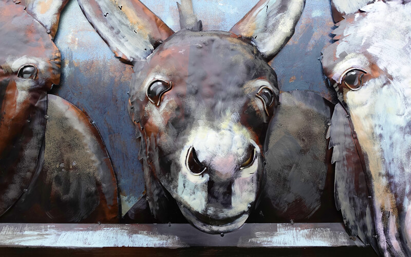 Metalen Schilderij 3D Ezels Gave Specials