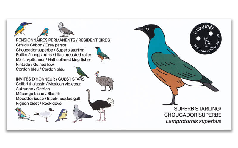 Houten vogel miniatuur 3kleur-Glansspreeuw