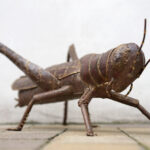Metalen Grote Sprinkhaan Tuindecoratie 72 x 36 cm | Kadeloo