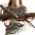 Metalen Grote Sprinkhaan Tuindecoratie 72 x 36 cm | Kadeloo